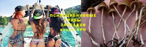 эйфоретик Алексеевка
