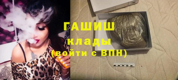 шишки Медвежьегорск