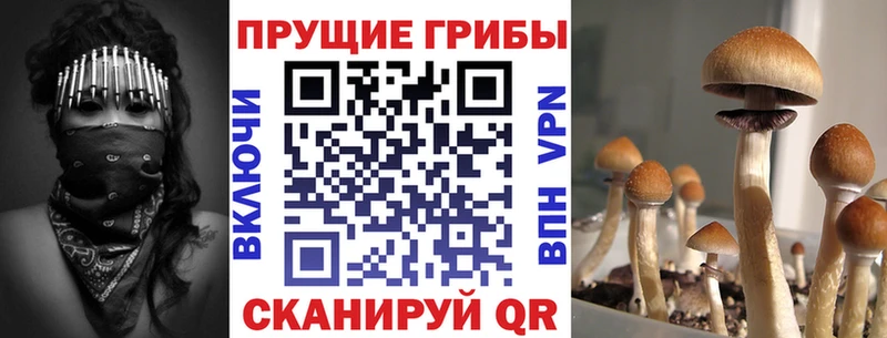 цены наркотик  Чадан  Псилоцибиновые грибы ЛСД 
